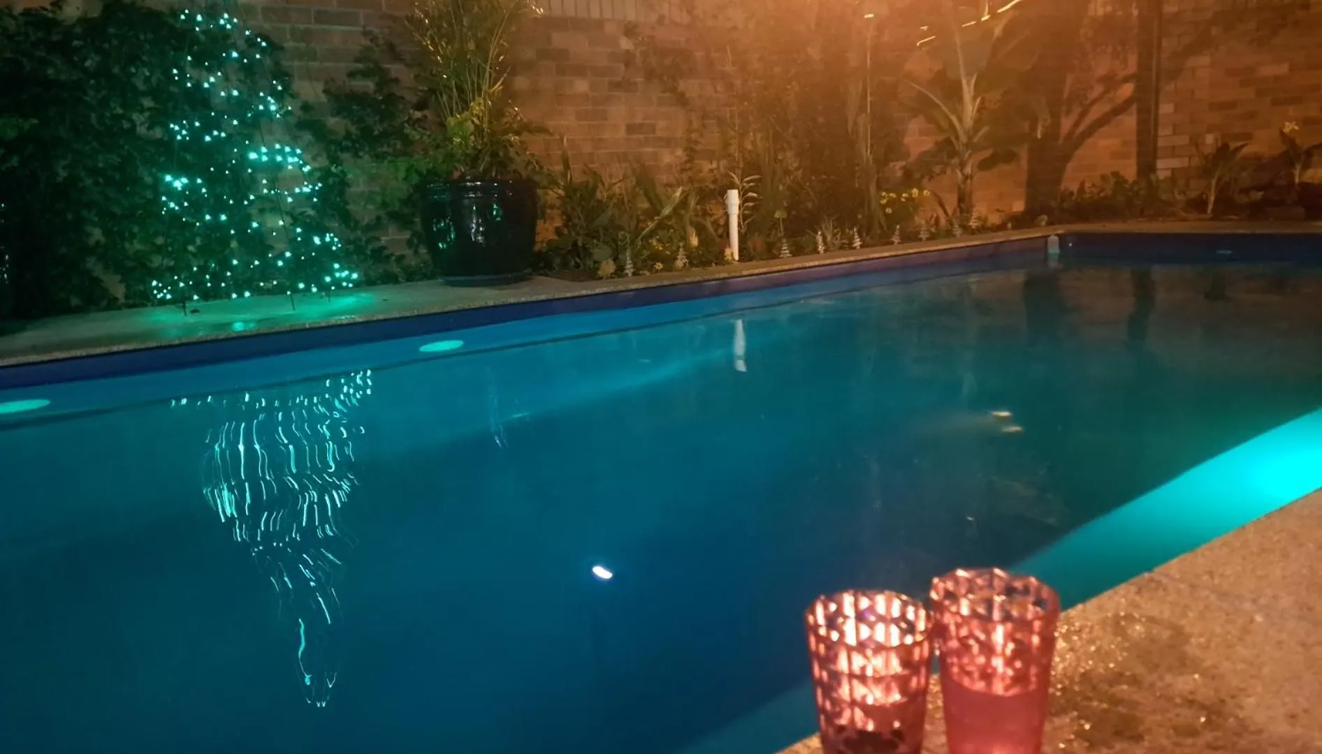Brisbane 1960S Pool House - Hosted Bed And Breakfast Ausztrália